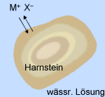 Lösungsgleichgewicht